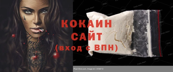 шишки Аркадак