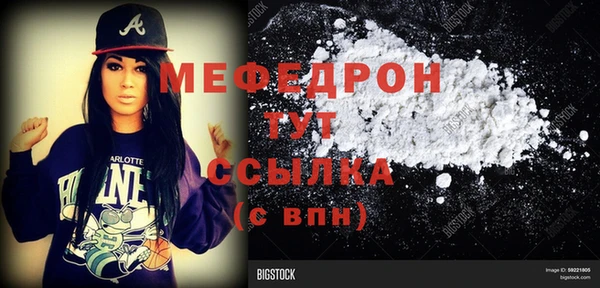 шишки Аркадак