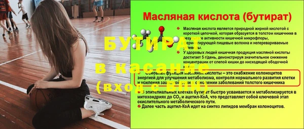 шишки Аркадак