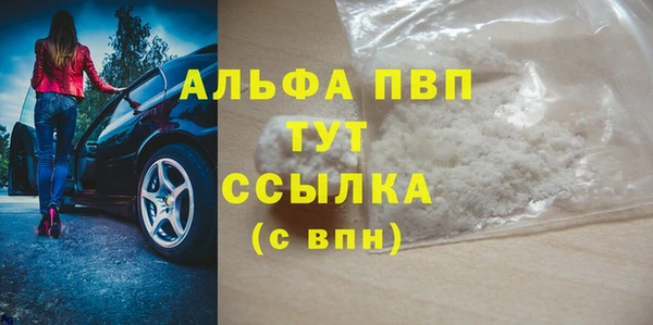 шишки Аркадак