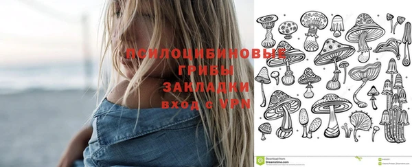 шишки Аркадак