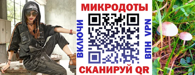 Псилоцибиновые грибы мицелий  Салаир 